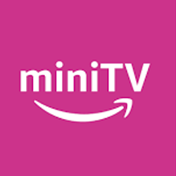 Amazon Mini TV